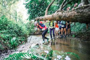 BIB: 
                            <button type="button" onclick="openModal(25475397)" class="btn btn-primary btn-sm float-right btn-popup" data-toggle="modal" data-target=".modal-high-quality">
                        <i class="fas fa-shopping-cart"></i> Add to Cart
                    </button>
                                            <button type="button" onclick="isThisMe(25475397, true)" class="btn btn-success btn-sm float-right btn-popup btn-isme hidden" data-toggle="tooltip" data-placement="bottom" title="นี่คือรูปของคุณใช่ไหม คลิกที่นี่เพื่อเอาเข้าอัลบั้ม">
                        <i class="fas fa-plus"></i> Add to album
                    </button>
                    <button type="button" onclick="isThisMe(25475397, false)" class="btn btn-warning btn-sm float-right btn-popup btn-isnotme hidden">
                        <i class="fas fa-ban"></i> Remove from album
                    </button>